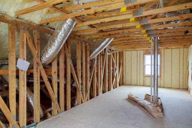Best Insulation Contractors for Homes  in Nett, MO