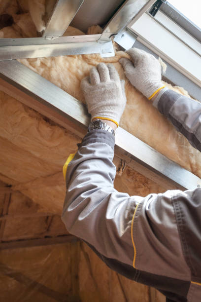 Best Soundproof Insulation Installation  in Nett, MO