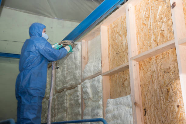 Best Home Insulation Services  in Nett, MO