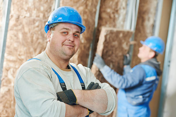 Best Insulation Replacement Services  in Nett, MO