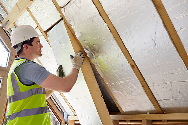 Best Best Insulation Companies  in Nett, MO